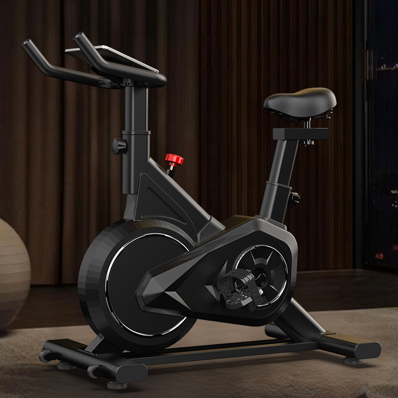 Bicicleta giratoria inteligent - Exercise Bike Magnetic Resistance reseña y precio