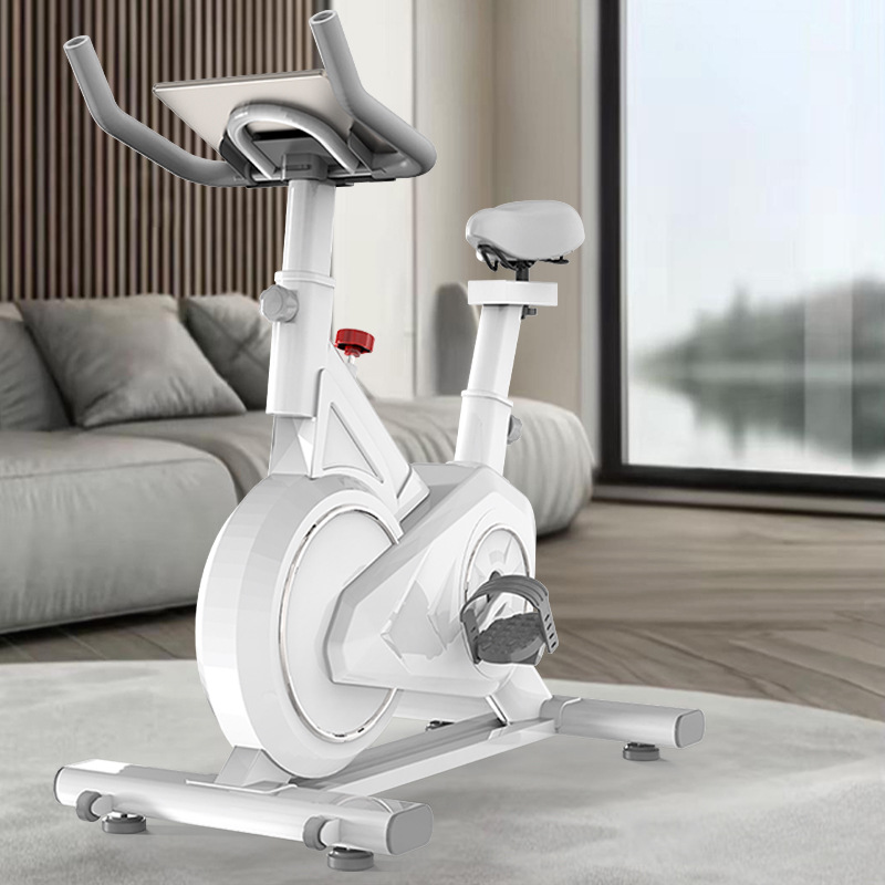 Bicicleta giratoria inteligent - Exercise Bike Magnetic Resistance reseña y precio