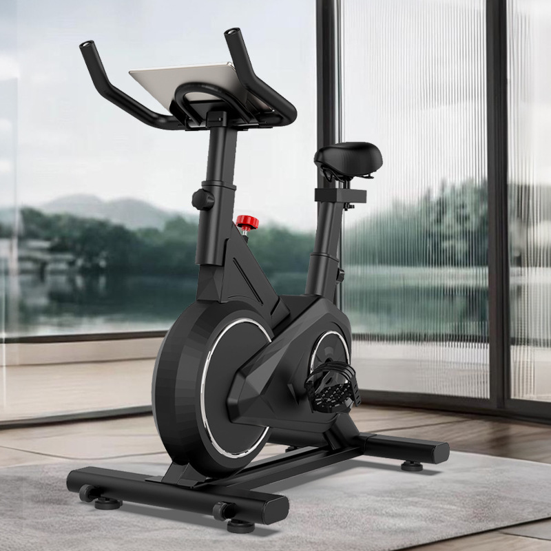 Bicicleta giratoria inteligent - Exercise Bike Magnetic Resistance reseña y precio